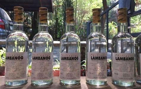 best lambanog